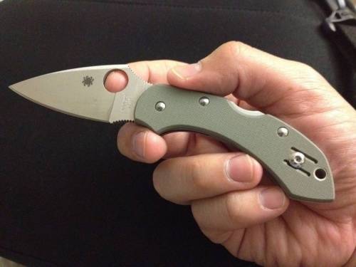 5891 Spyderco Dragonfly 2 Foliage Green - C28GPFG фото 11