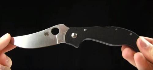 5891 Spyderco Persian 2 83GP2 фото 9