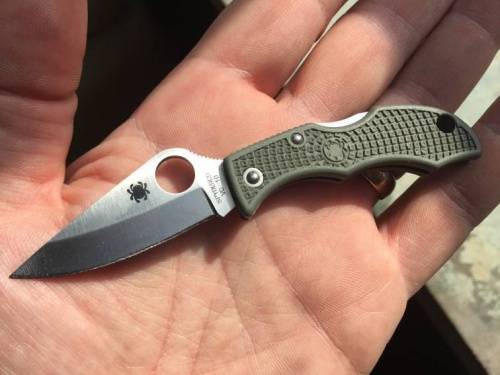 147 Spyderco Ladybug 3 - LGREP3 фото 7